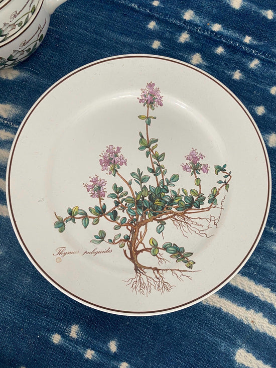 Villeroy &  Boch Salad Plates, Botanica Salad Plates 8.25”, Vintage Floral Salad Plates, Vitro Porcelain Plates, Thymus pulegioides Salad
