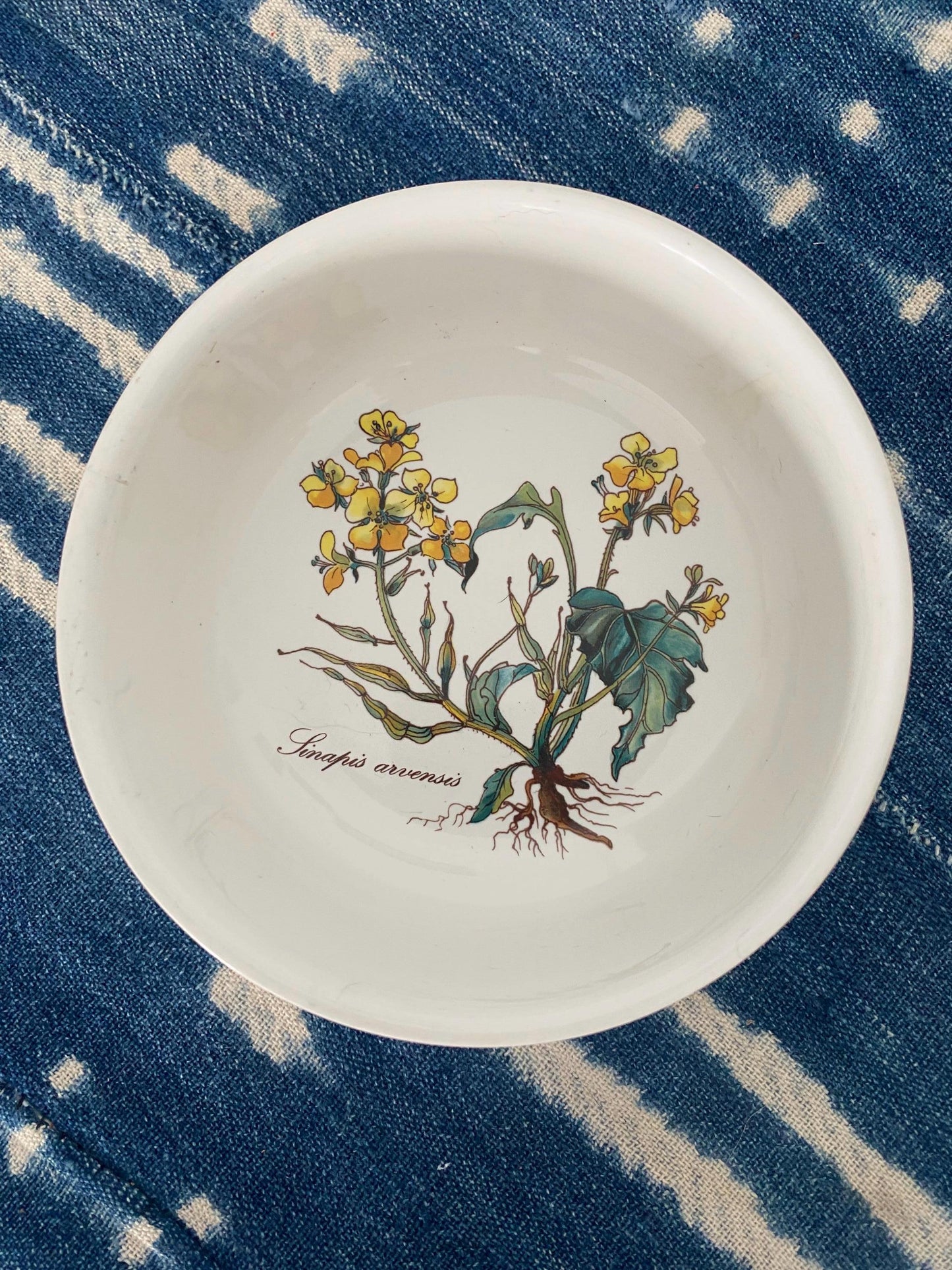 Villeroy &  Boch Soup Bowls, Sinaapis Arvensis Bowls, Vintage Floral Bowls,  Vitro Porcelain Bowls, Rare Villeroy and Boch