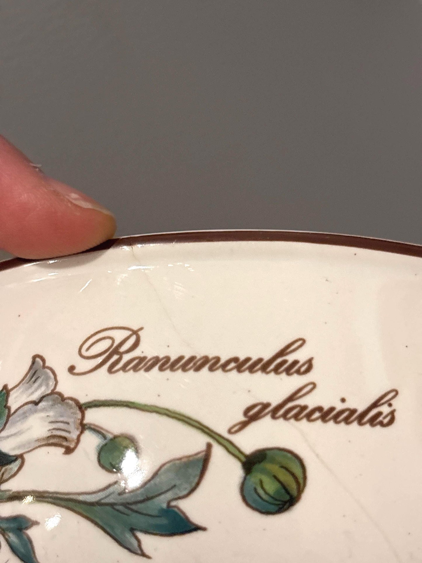 Villeroy &  Boch Soup Bowls, Botanica Salad Plates, Vintage Floral Bowls,  Vitro Porcelain Bowls